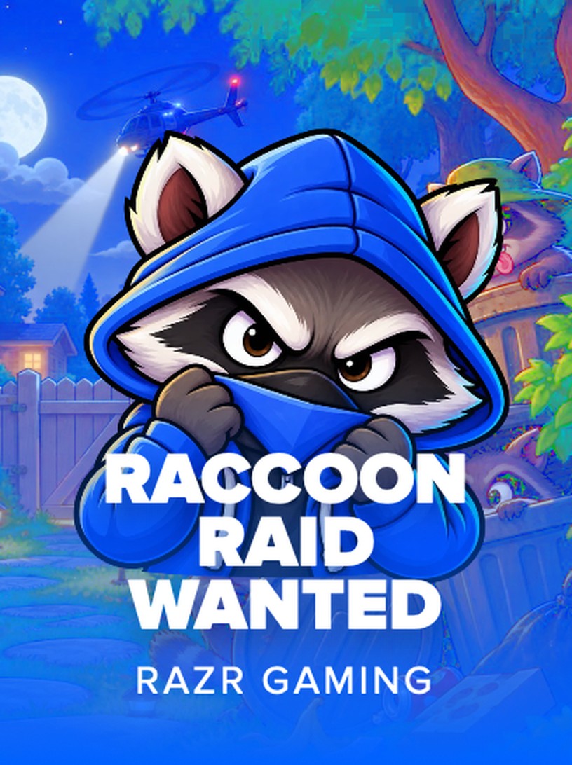 Raccoon Raid artwork